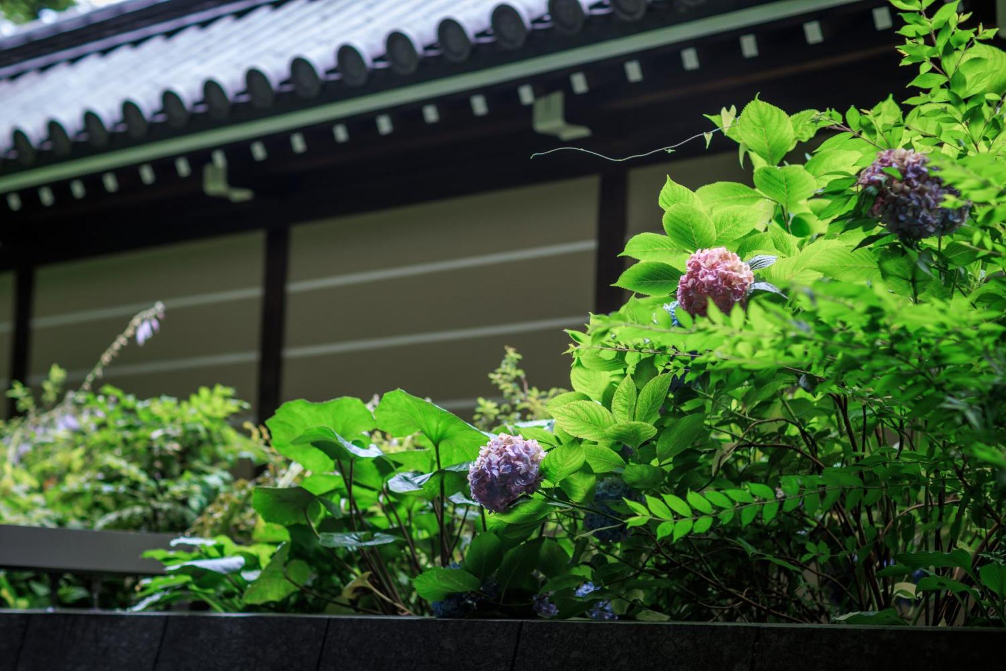 Hotel Okura Kyoto Okazaki Bettei Kültér fotó